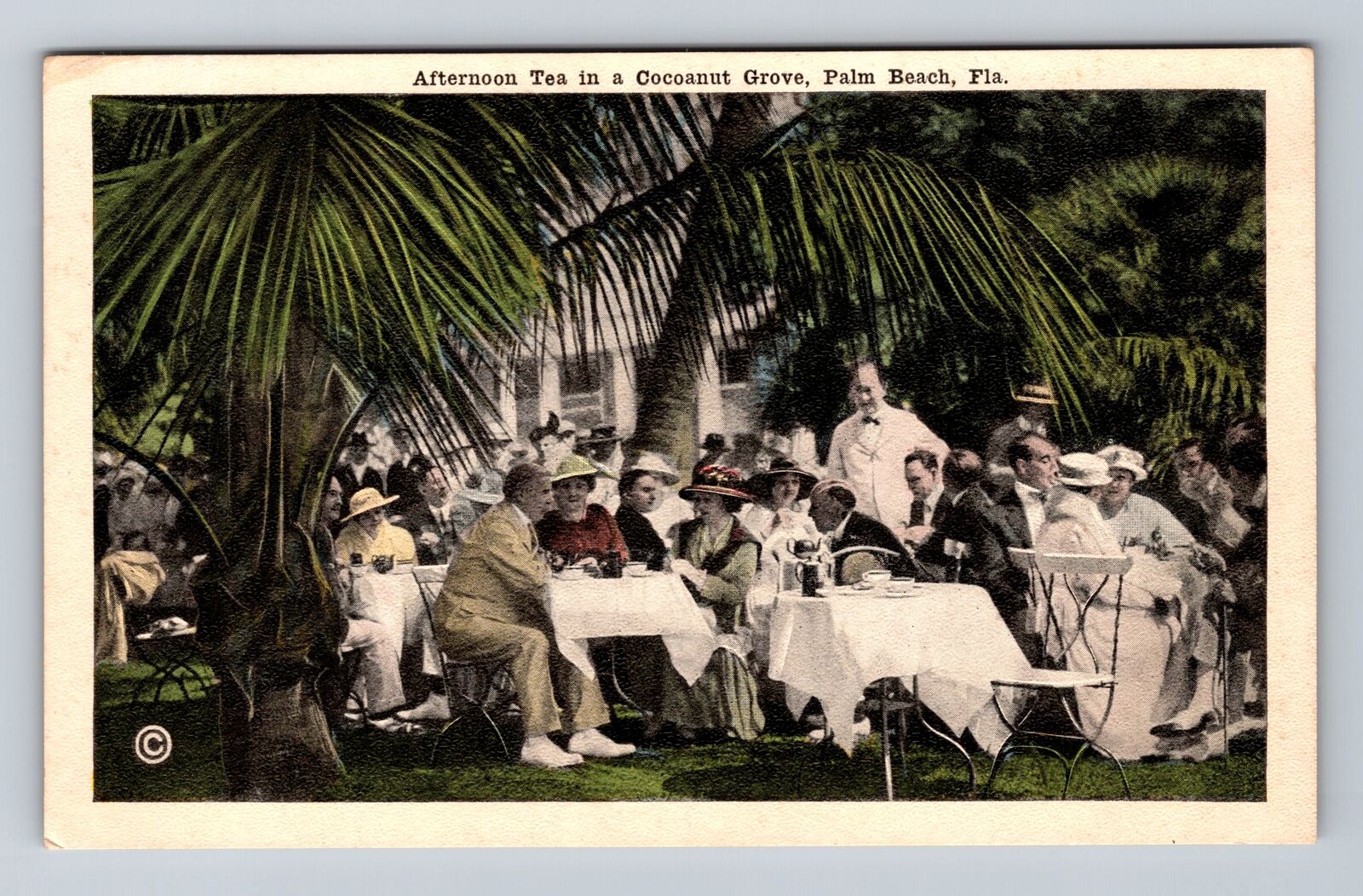 Palm Beach FL-Florida, Afternoon Tea in a Cocoanut Grove, Vintage Postcard