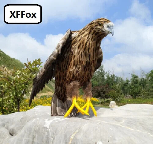 big eagle model foam&feather simulation wings eagle bird gift about 48cm