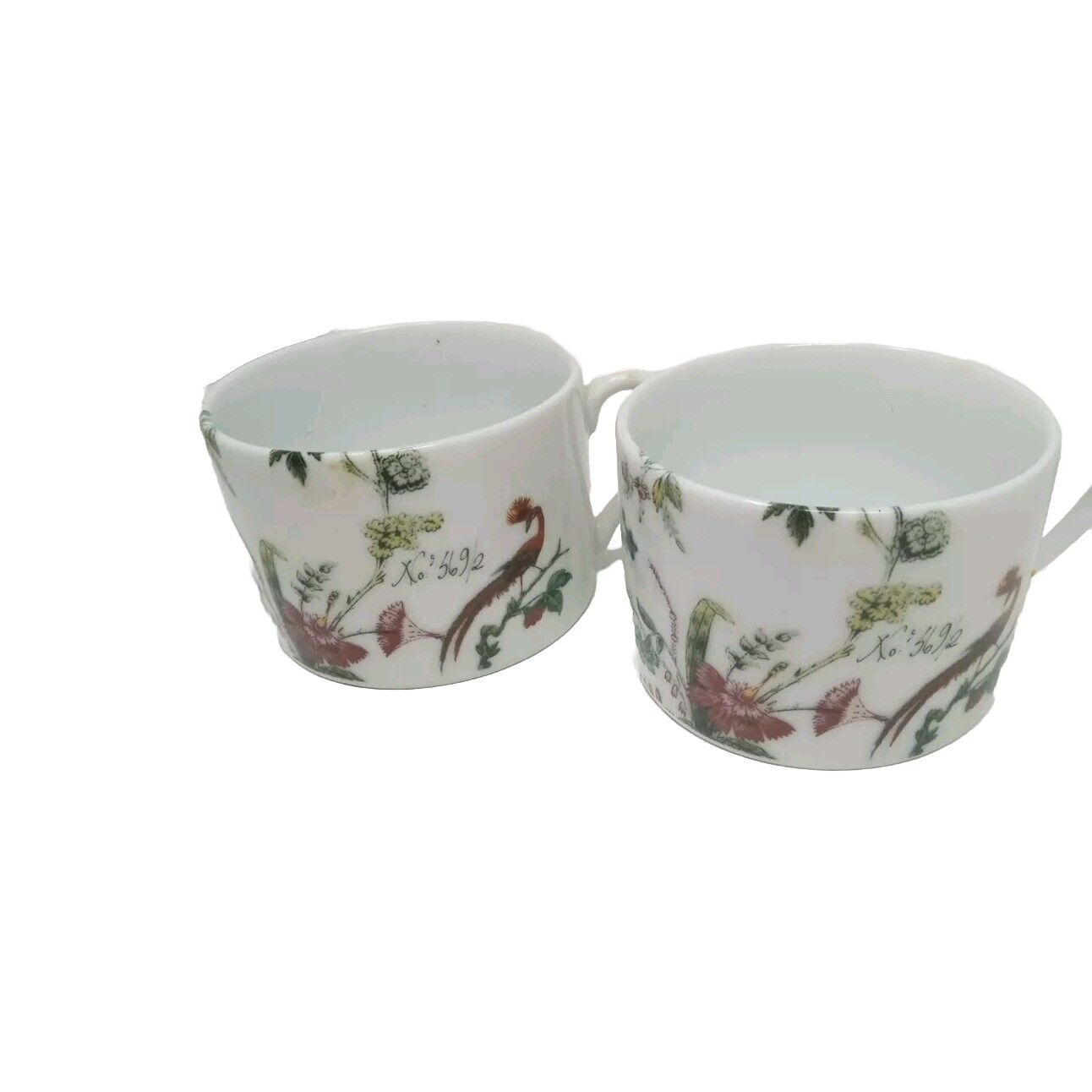 Lot Of 2 Anthropologie Peacock And Floral Tea Cups