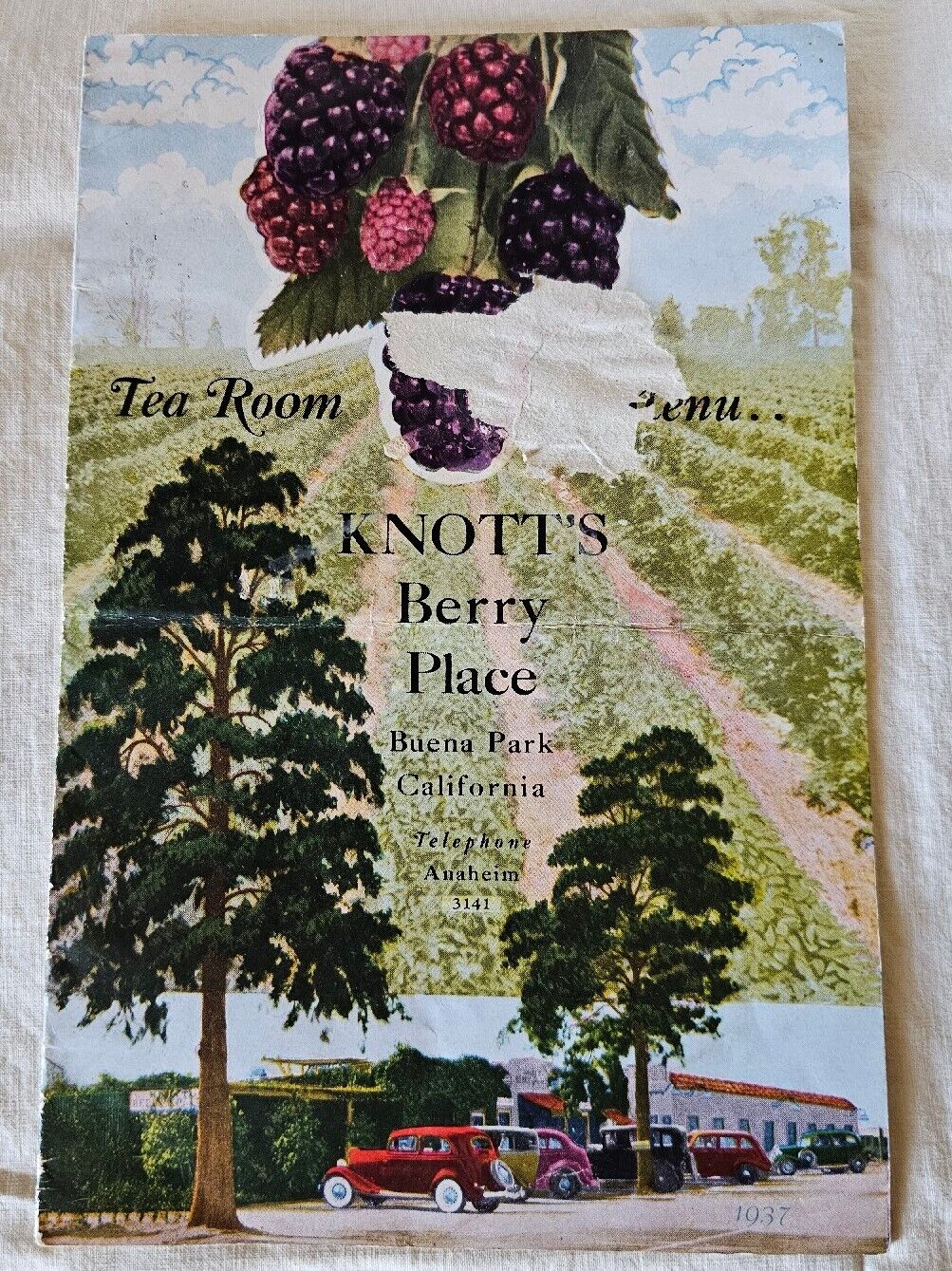 Vintage Knott's Berry Farm 1942 Tea Room Menu, B02