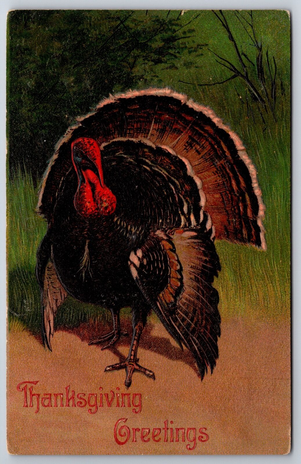 PFB Thanksgiving~Turkey Struts Full Fan on Path~Embossed~Series 7721~1909 PC