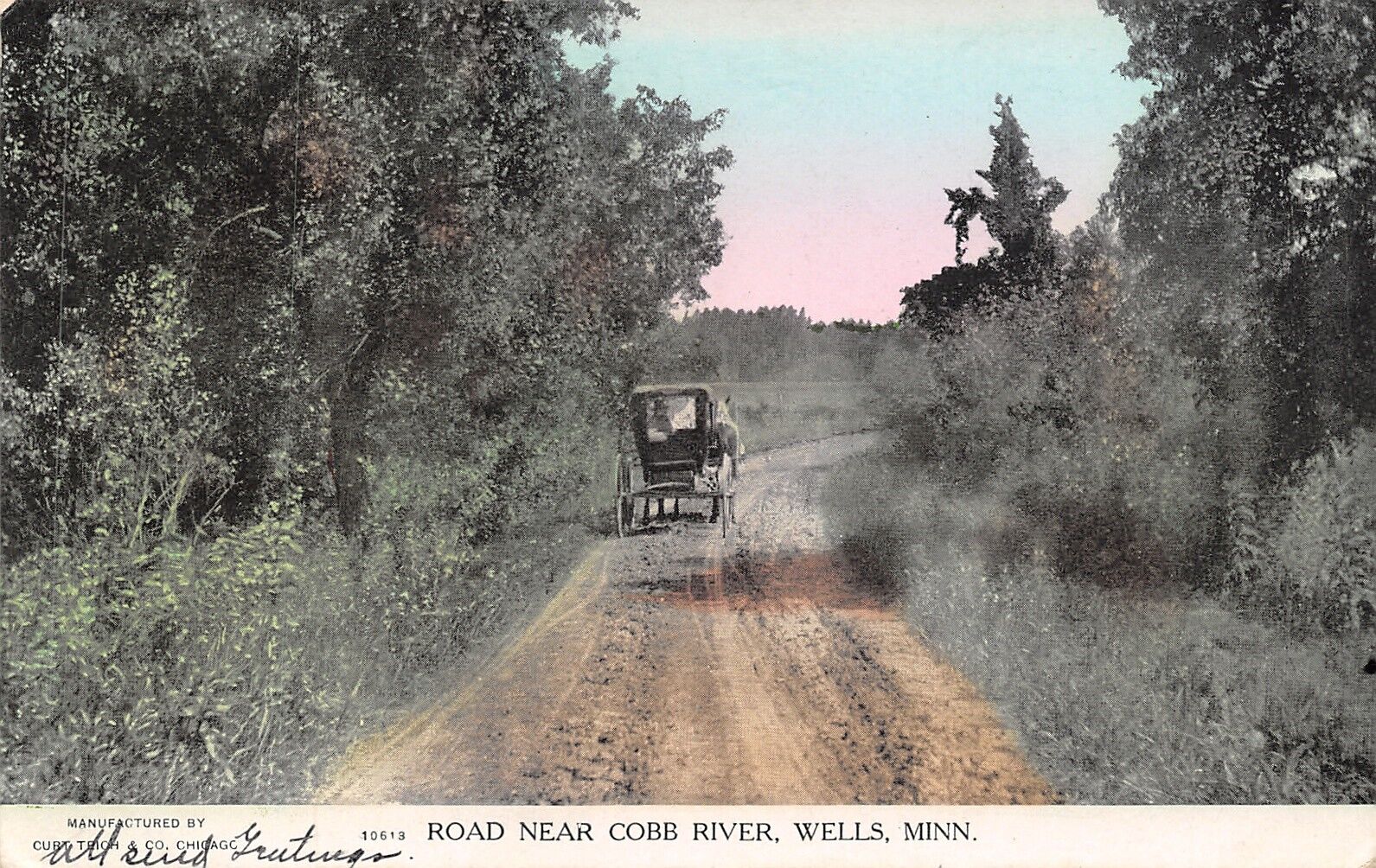 Wells Minnesota~Horse Rig Surrey on Road Near Cobb River~Man Looks Back~1908 PC