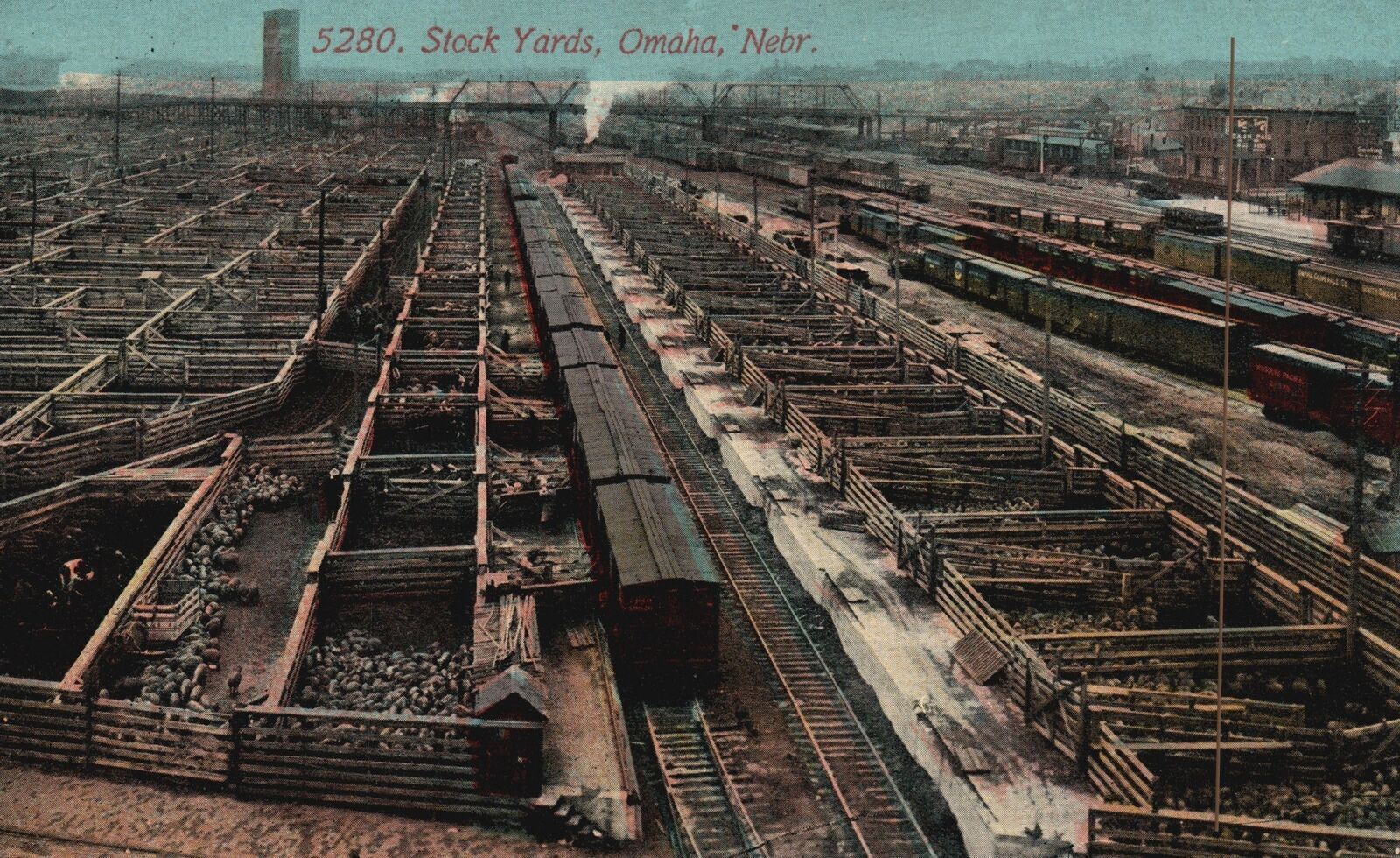 Vintage Postcard 1912 The Union Stockyards Stock Yards Company Omaha Nebraska NE