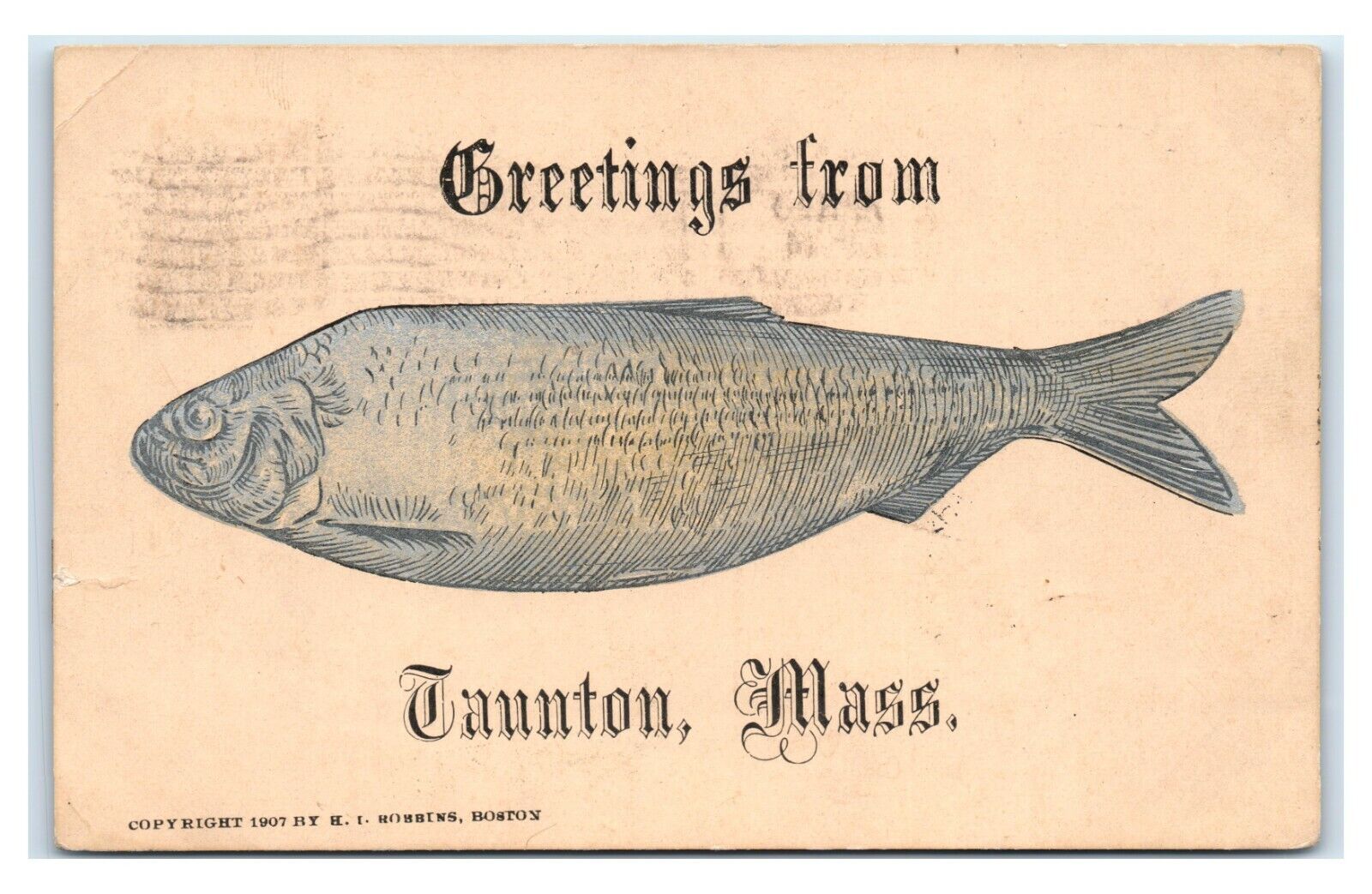 Postcard Greetings from Taunton, Mass fish 1907 I18