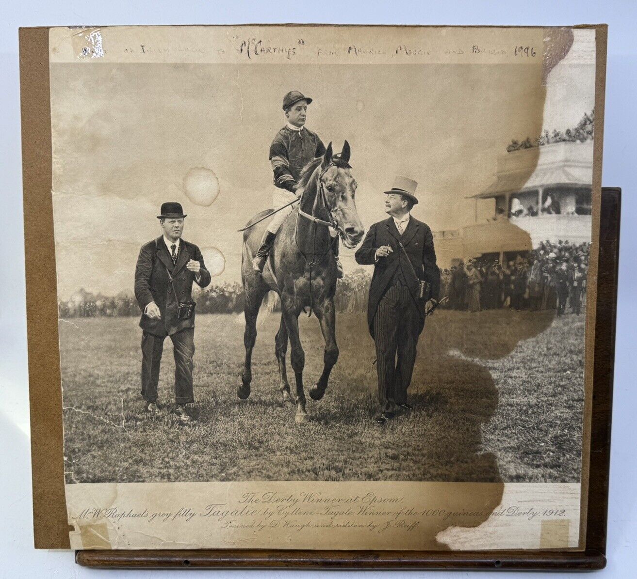 Antique 1912 Epsom Derby Horse Racing Winner TAGALIE Photograph Grey Filly Reiff