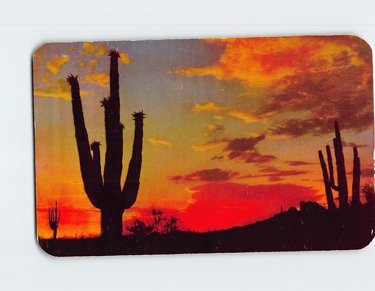 Postcard An Arizona Sunset Arizona USA