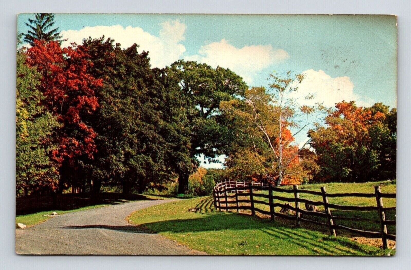 Greetings Cadillac Michigan Scenic Roadway Autumn Landscape Chrome Postcard