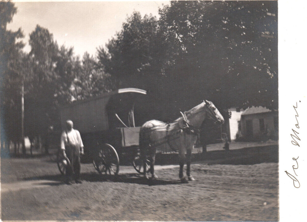 Quincy Michigan Ice Wagon Horse Man Rppc Real Photo Postcard