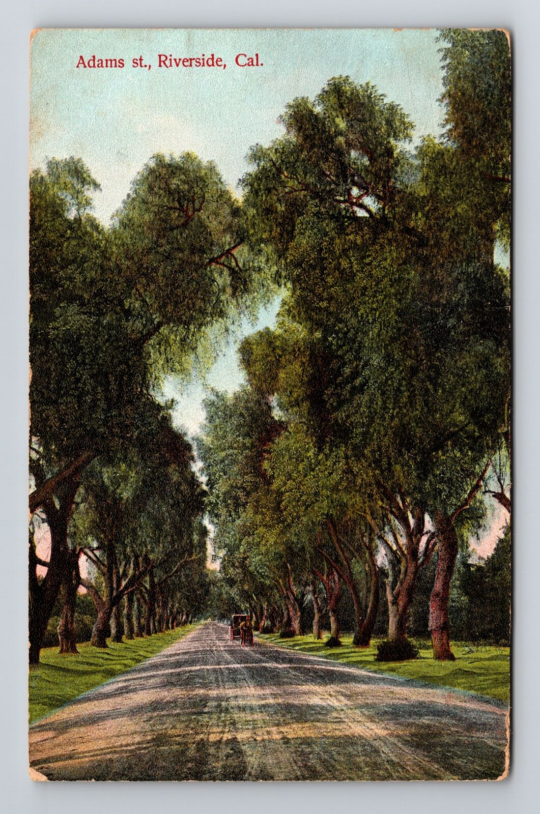 Riverside CA-California Scenic Tree Lined Adams Street c1907 Vintage Postcard