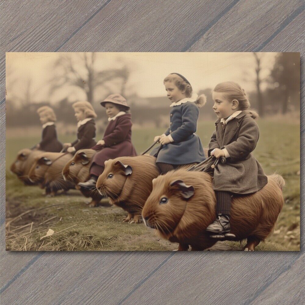 POSTCARD Guinea Pig Kids Riding Old School Vibe Weird Strange Funny Race Giant