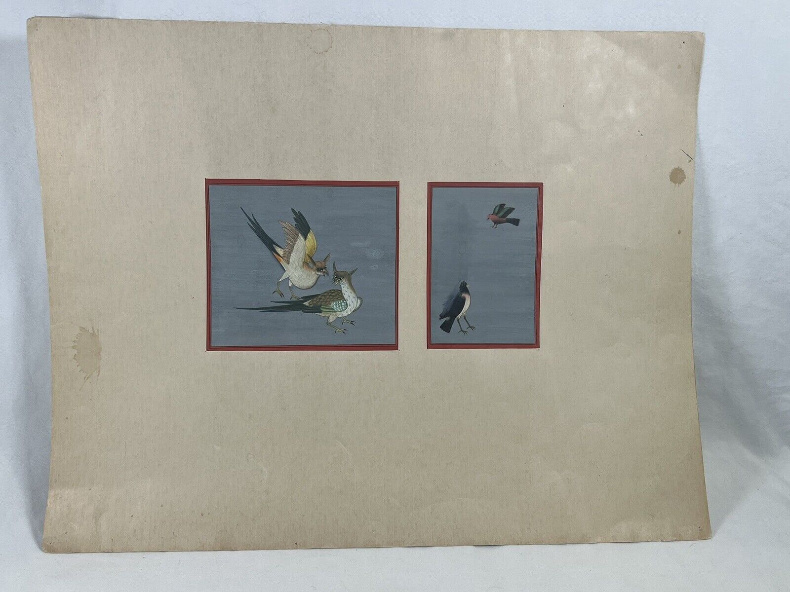 Rare Old Indian School Bird Small Multi Colour Paper Paintings Early 19c