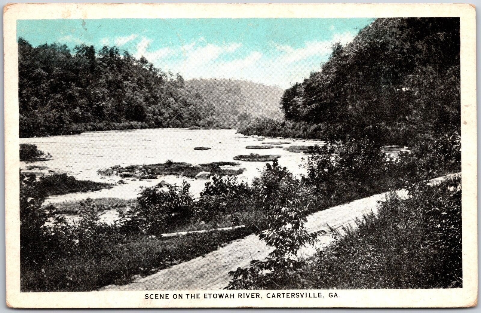 Scene on the Etowah River Cartersville Georgia GA Forest Trails Postcard
