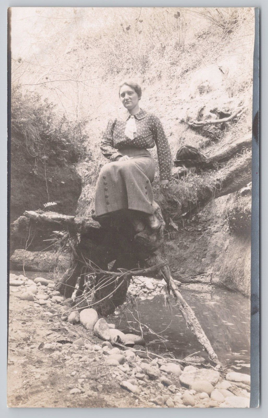 Postcard Woman Sitting on Tree Branch in Front of Stream RPPC