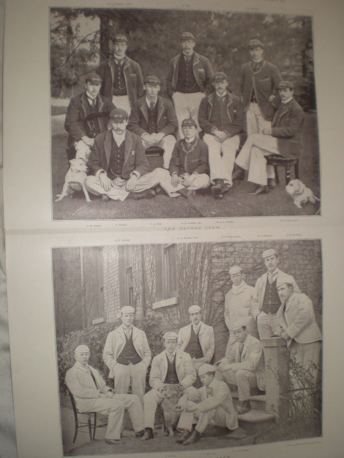 Printed photos Oxford Cambridge University Boat Race Crews 1893 ref AT