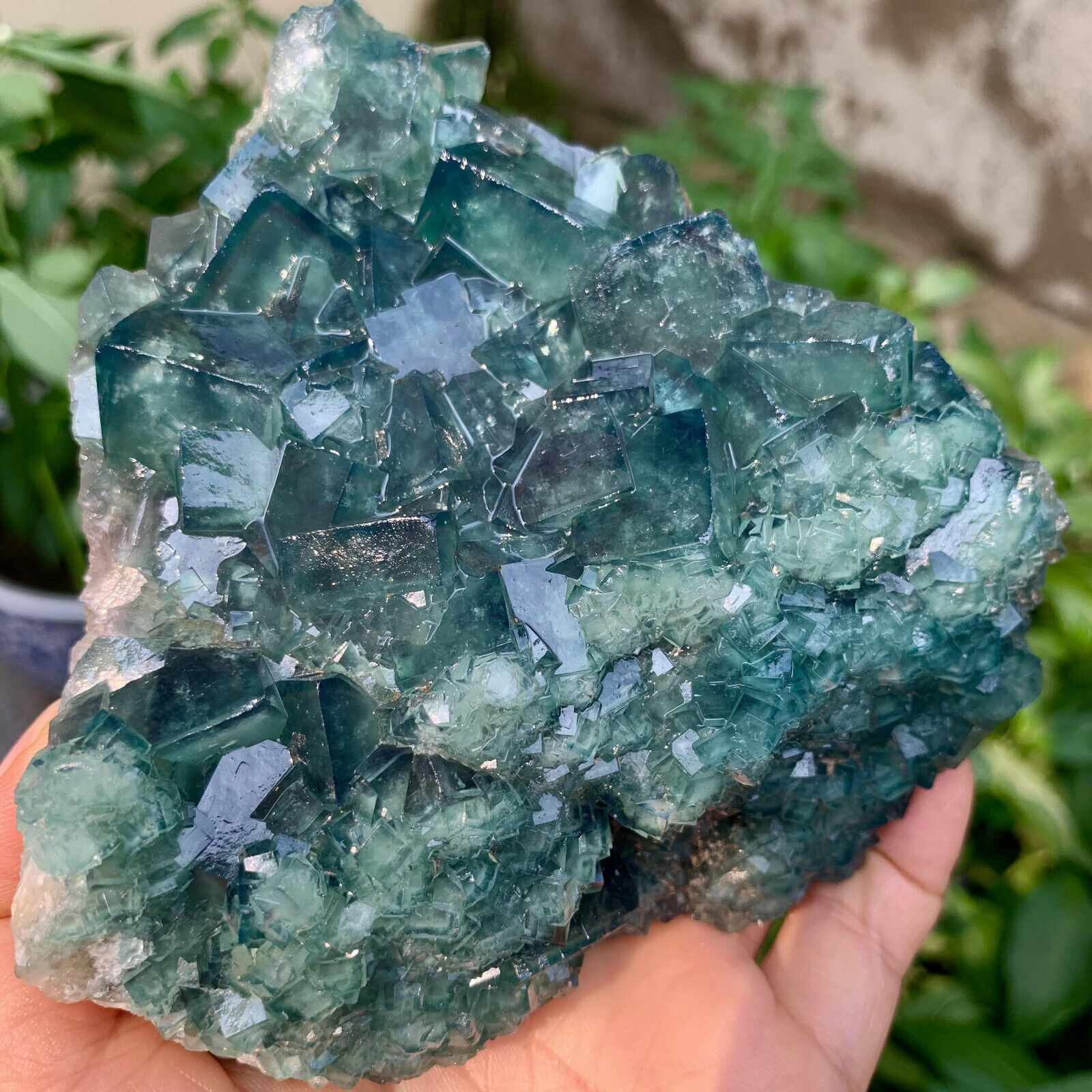 2.46LB  Natural Green FLUORITE Quartz Crystal Cluster Mineral Specimen