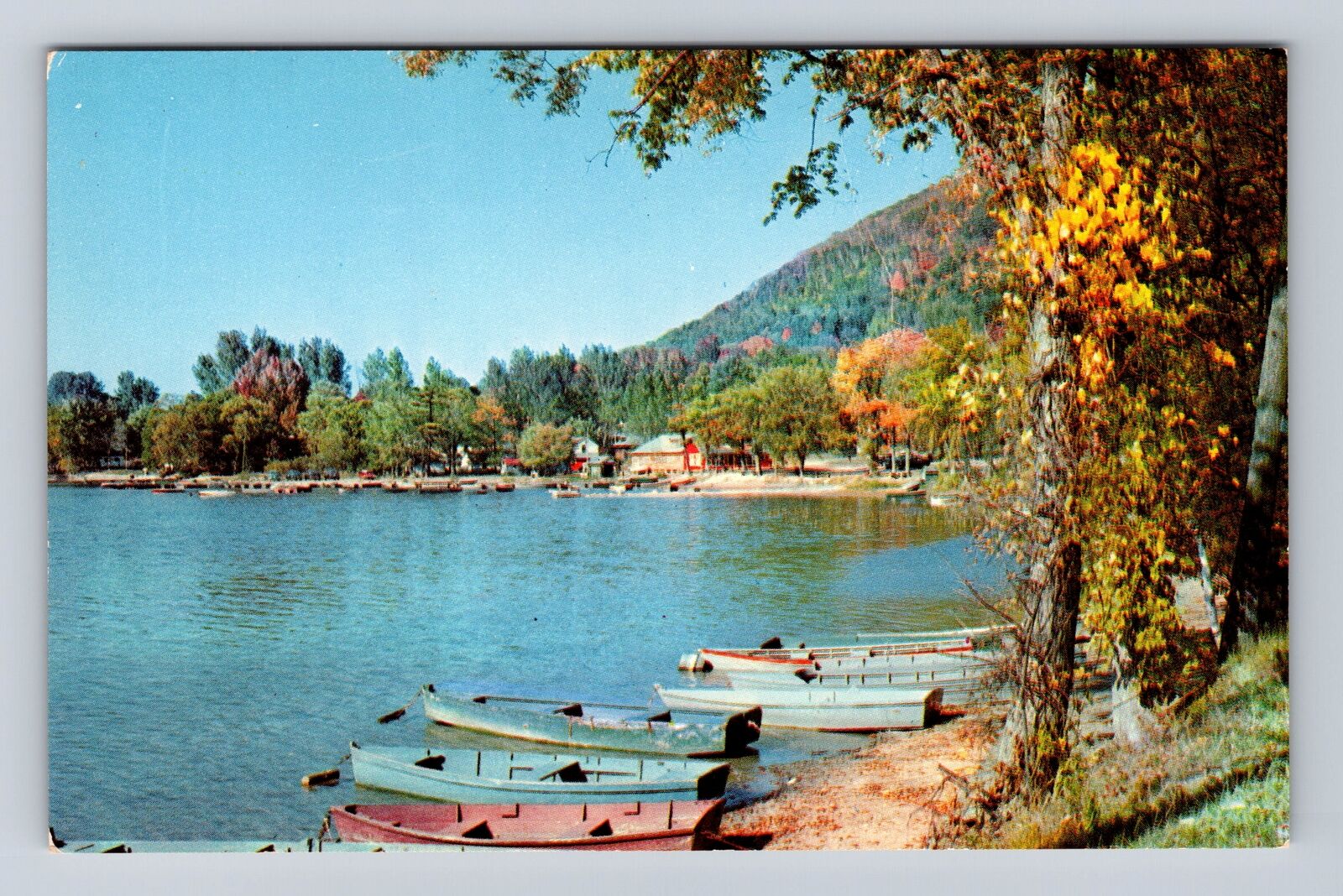Twin Lakes CT-Connecticut, Autumn along the Lake, Antique Vintage Postcard