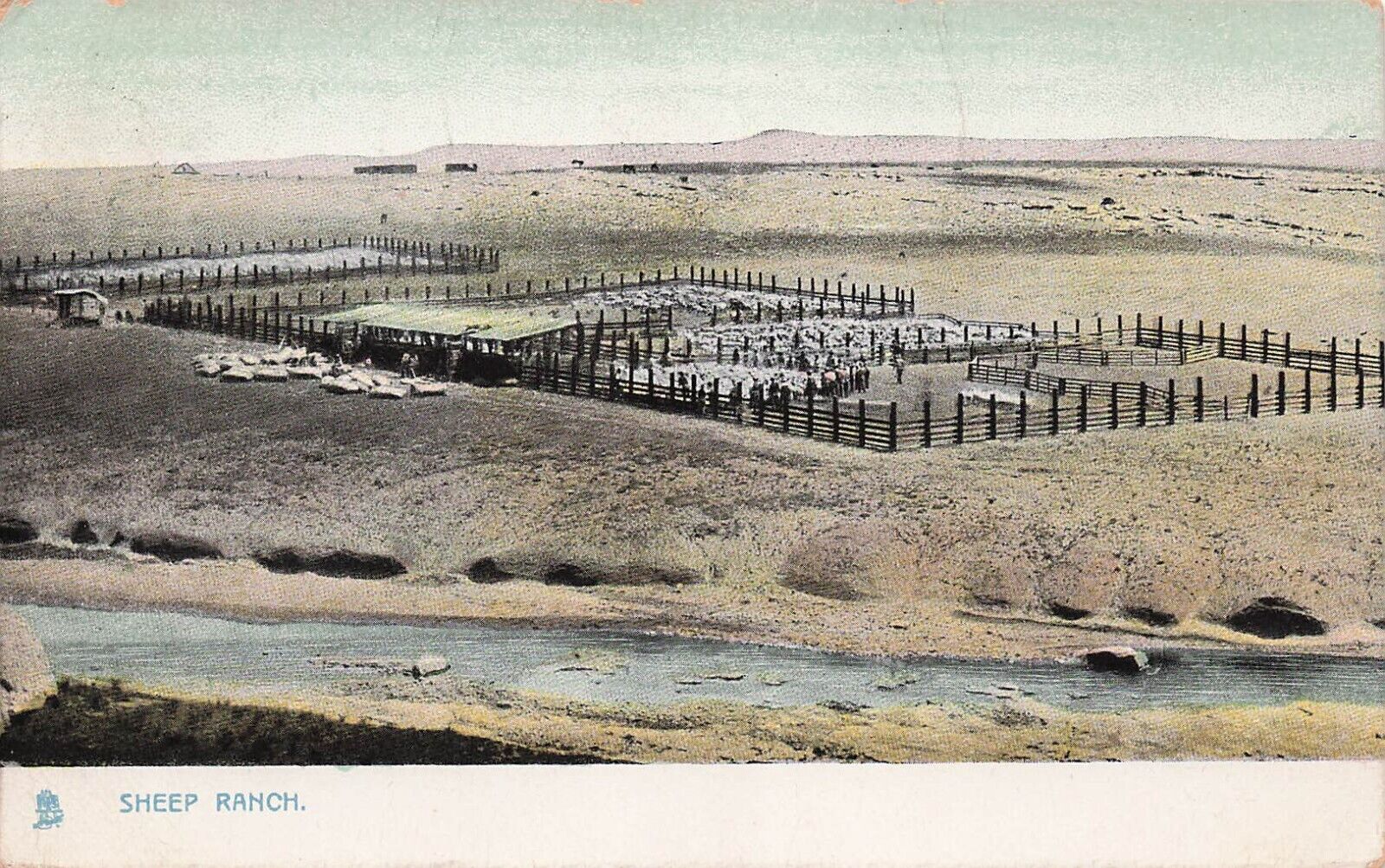 Norwood MA Massachusetts Sheep Ranch Farm Pasture Early 1900s Vtg Postcard E16