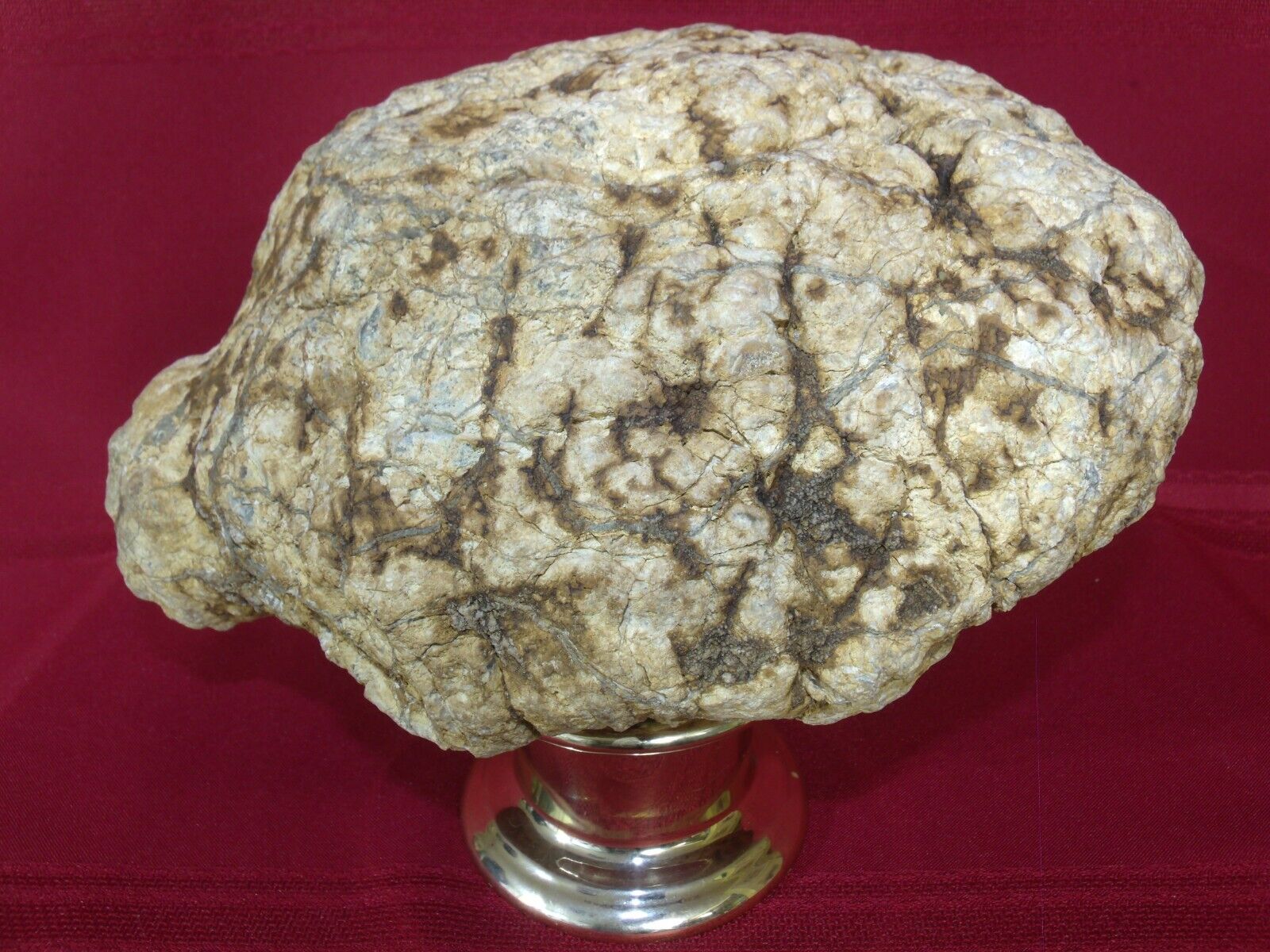 Large Unopened Geode 14.7lbs Rare Turtle Shaped KY Crystal Quartz Unique Gift