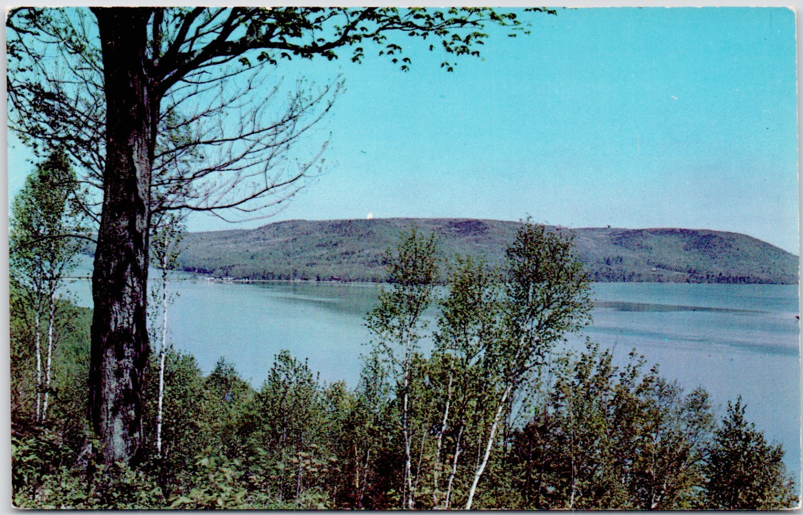 Inspiration Point Glen Lake Michigan Narrows Bridge Day Forest Vintage Postcard