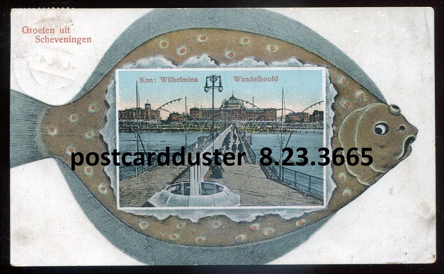 NETHERLANDS Scheveningen Postcard 1926 Harbor Promenade Fancy Fish Border