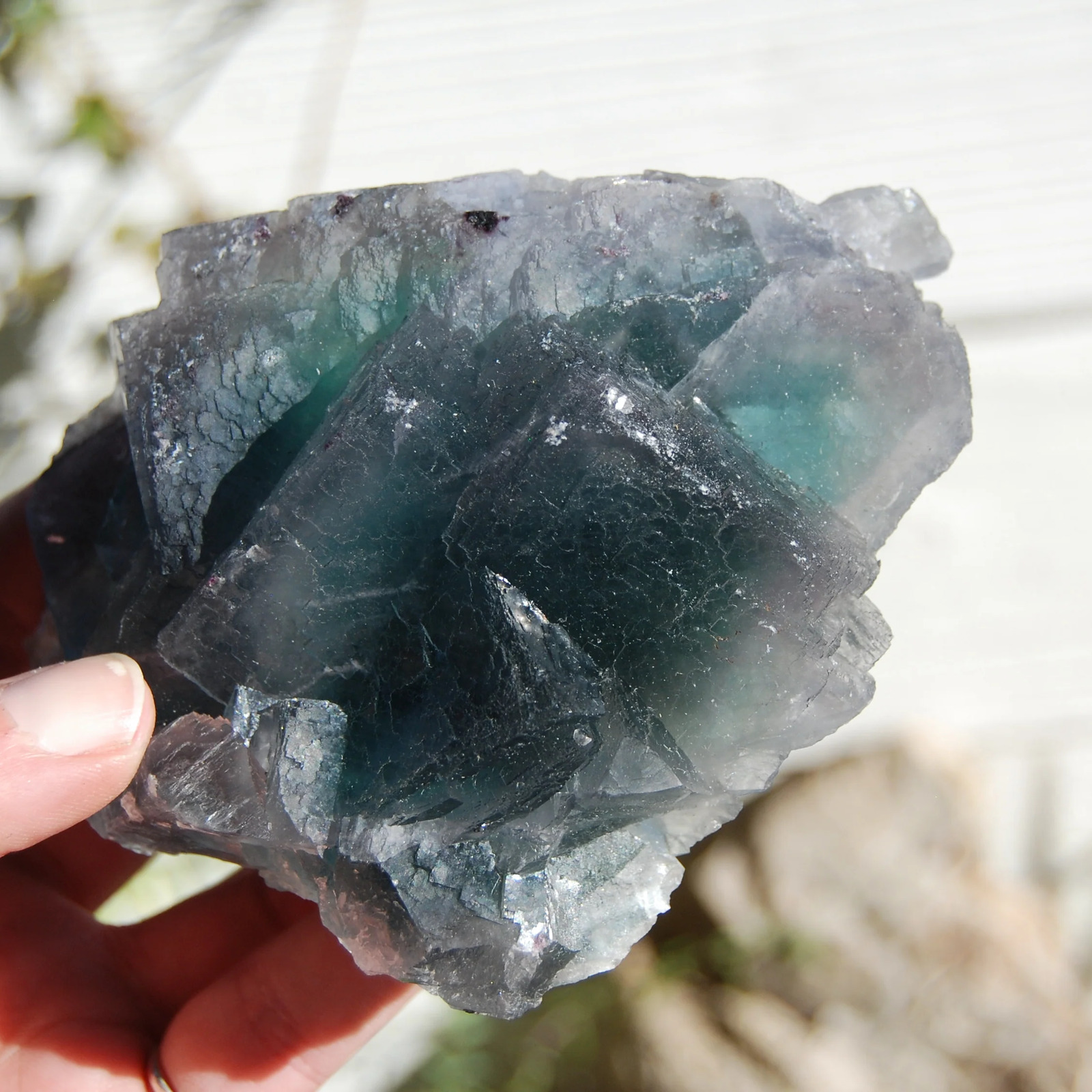 1.5lb XL Raw Bicolor Fluorite Crystal Cluster, Teal Cubic Fluorite