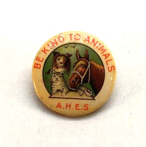 Vintage A.H.E.S Be Kind to Animals Horse Dog Cat Pinback Pin