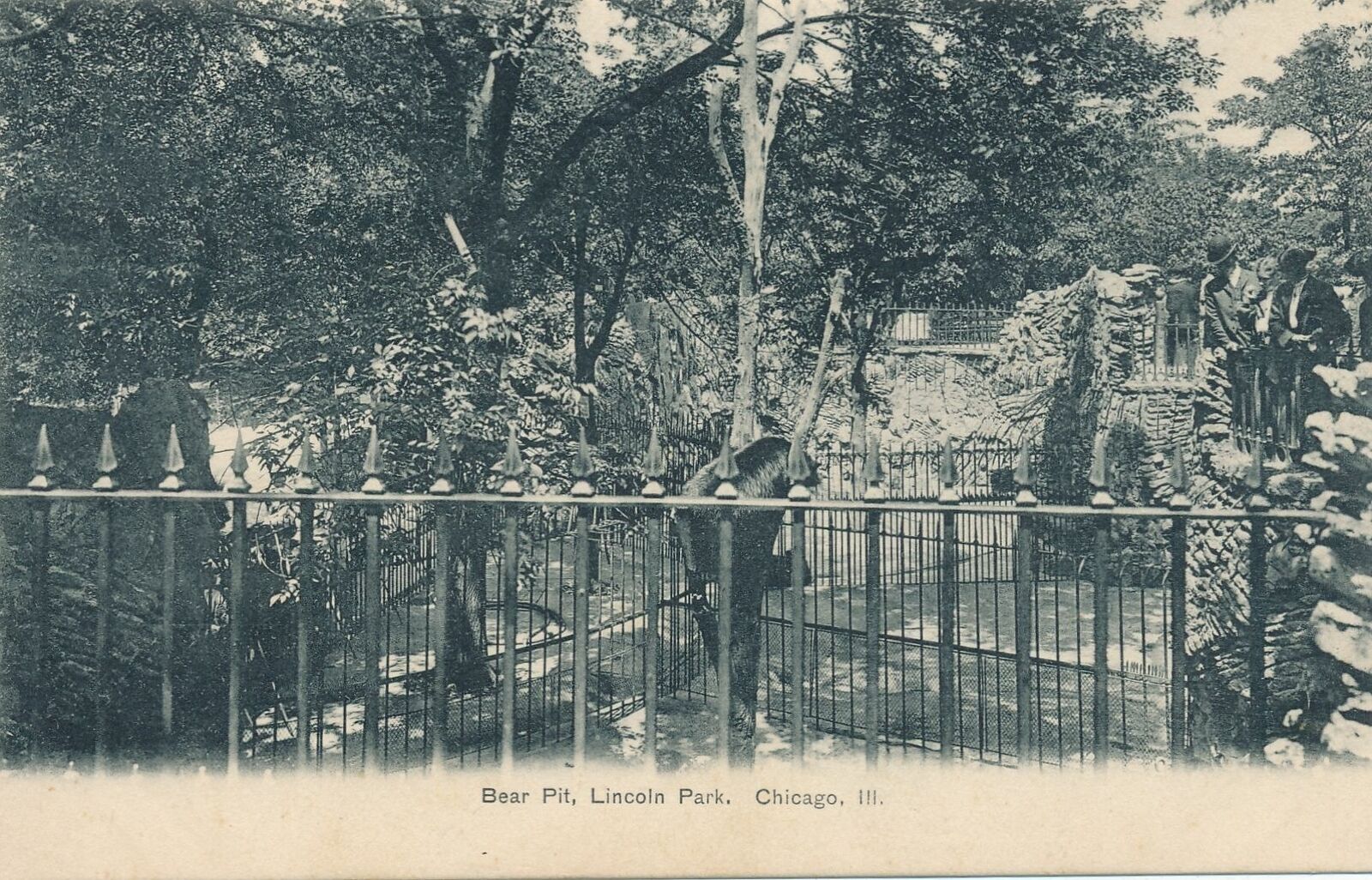 CHICAGO IL - Lincoln Park Bear Pit - udb (pre 1908)