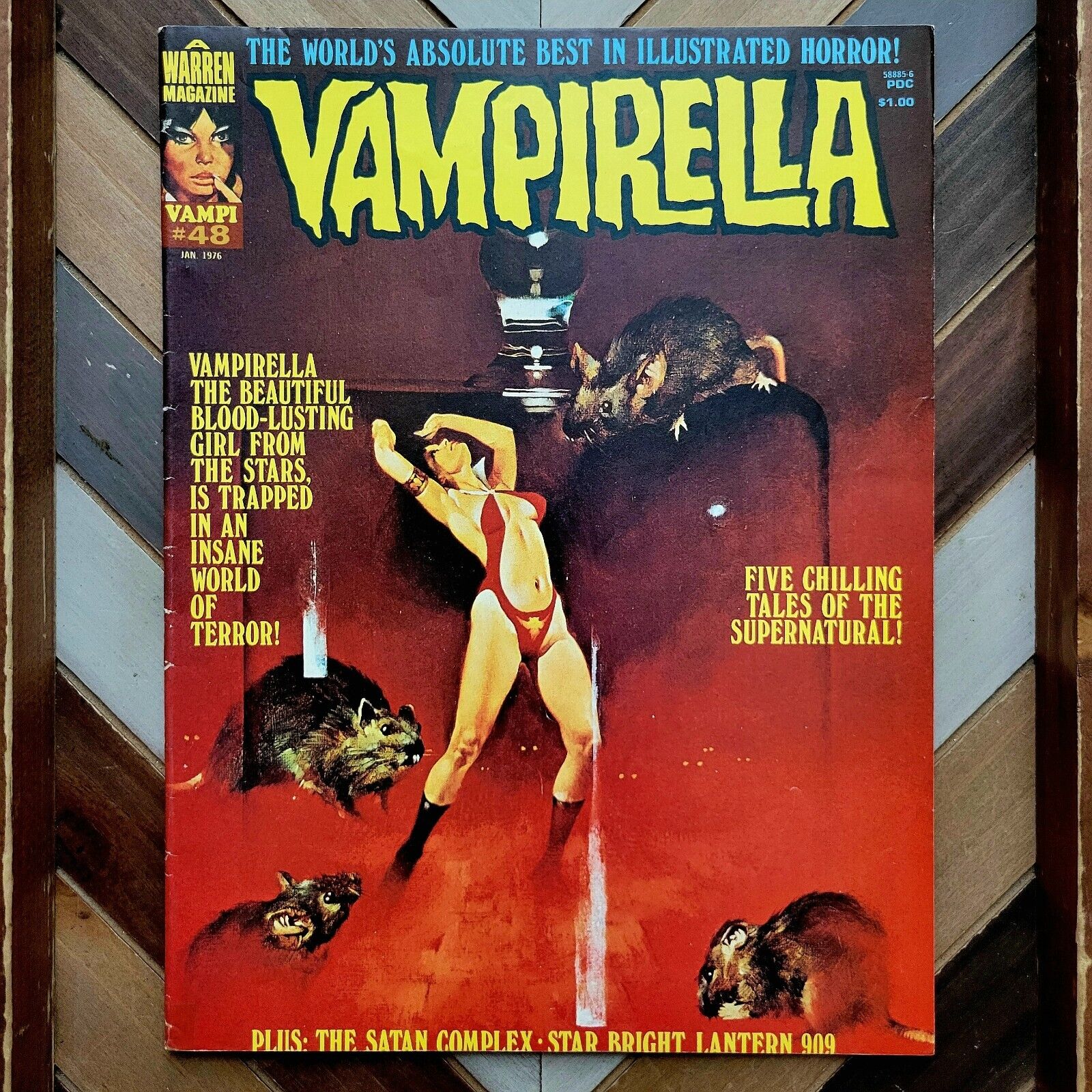 VAMPIRELLA #48 VG/FN (Warren 1976) 1st Series BERMEJO/ORTIZ Enrich Torres Cover