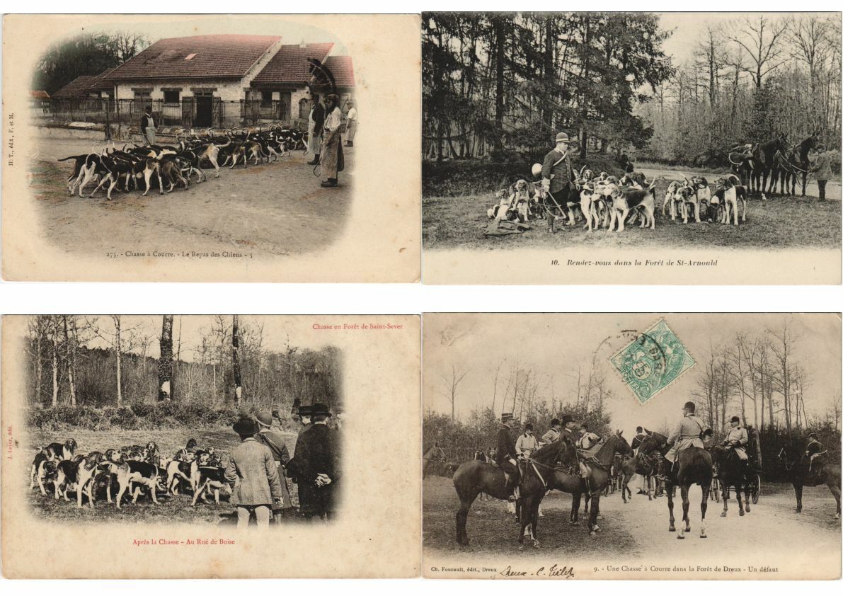 HUNTING SPORT, FRANCE, DOGS, HORSES 100 Vintage Postcards Pre-1940 (L3142)