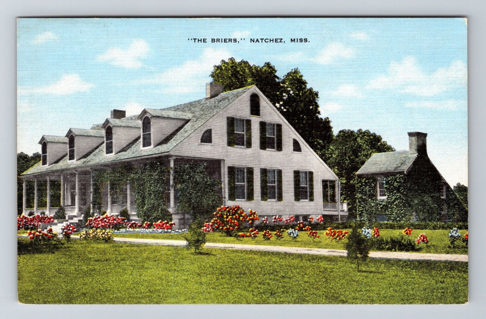 Natchez MS-Mississippi, The Briers Vintage Souvenir Postcard