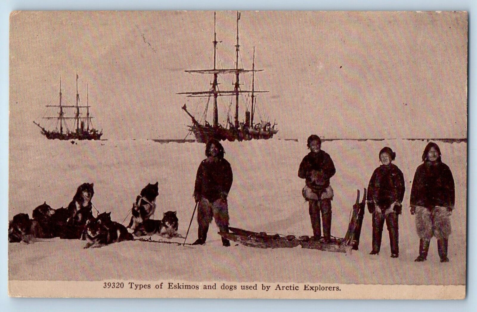 Brooklyn New York NY Postcard Types Eskimos Dogs Arctic Explorers c1909 Vintage