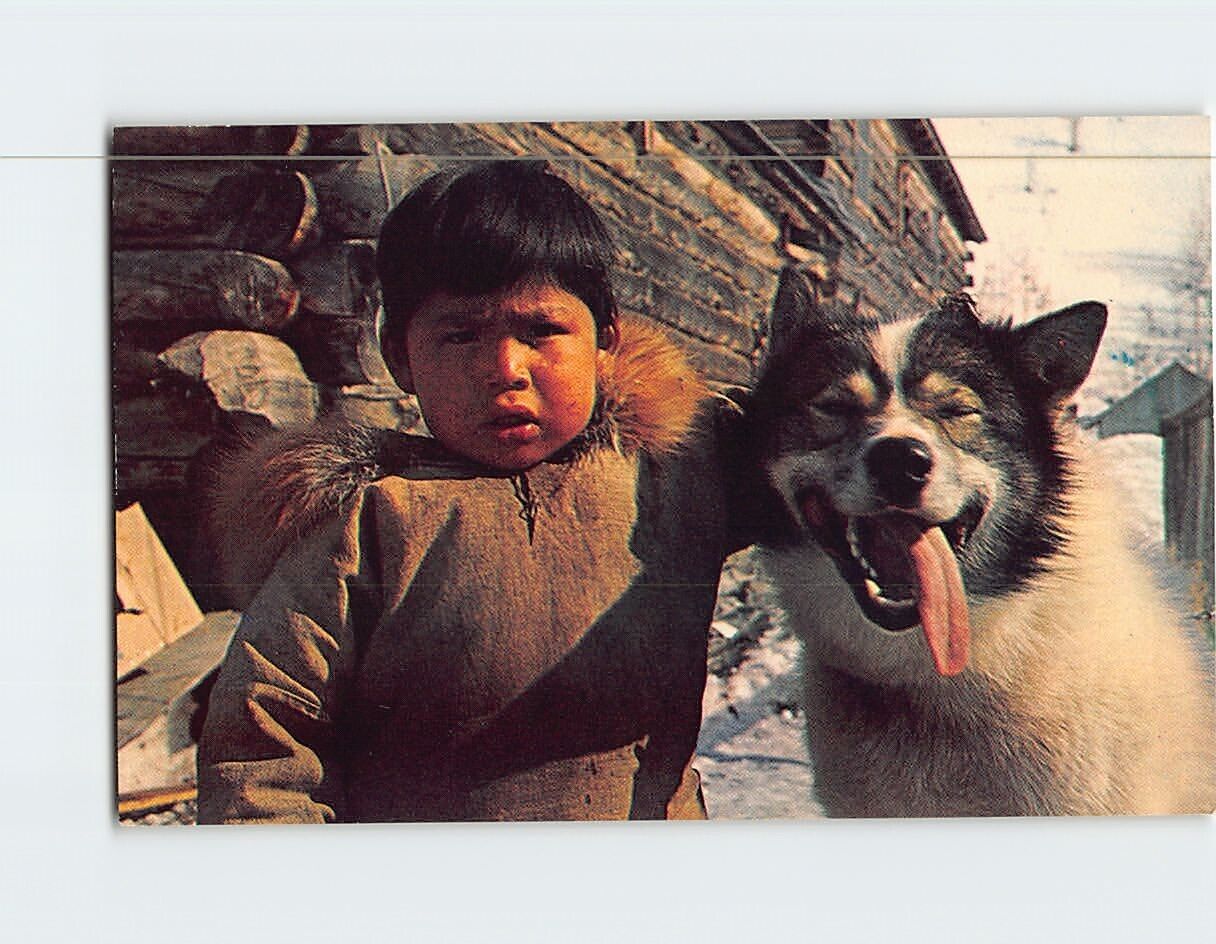 Postcard An Eskimo Boy\'s Best Friend Lead  Dog from the Dog Team