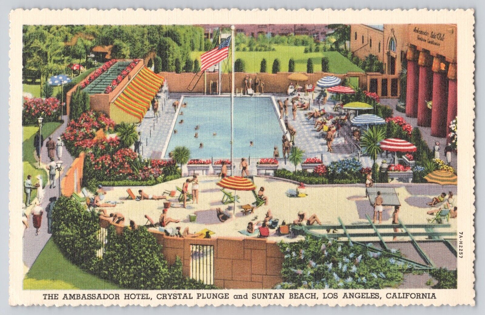 Postcard California Los Angeles Ambassador Hotel Crystal Plunge Suntan Vintage