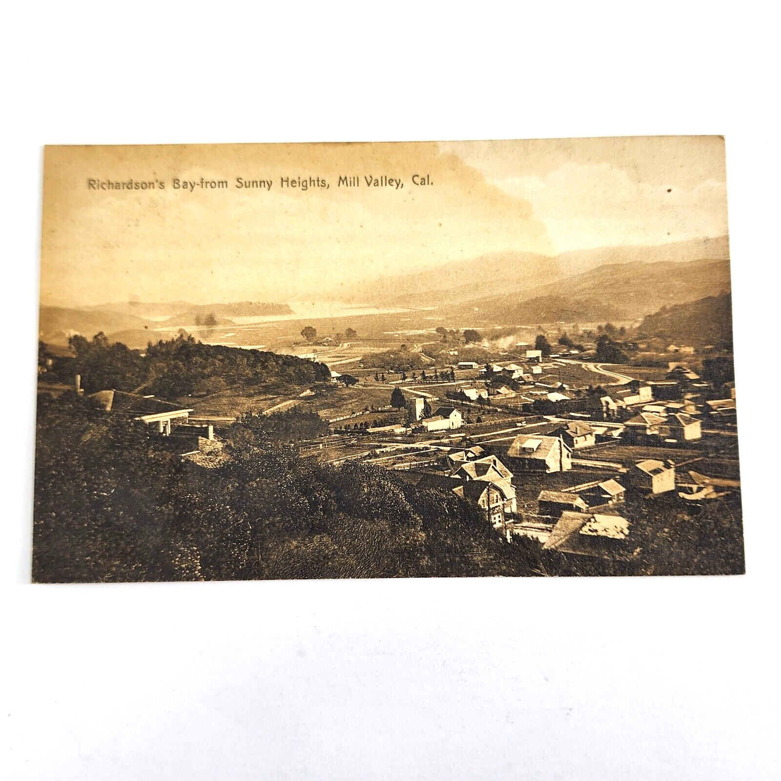 Vintage View Mill Valley California Richardson's Bay from Sunny Heights Postcard