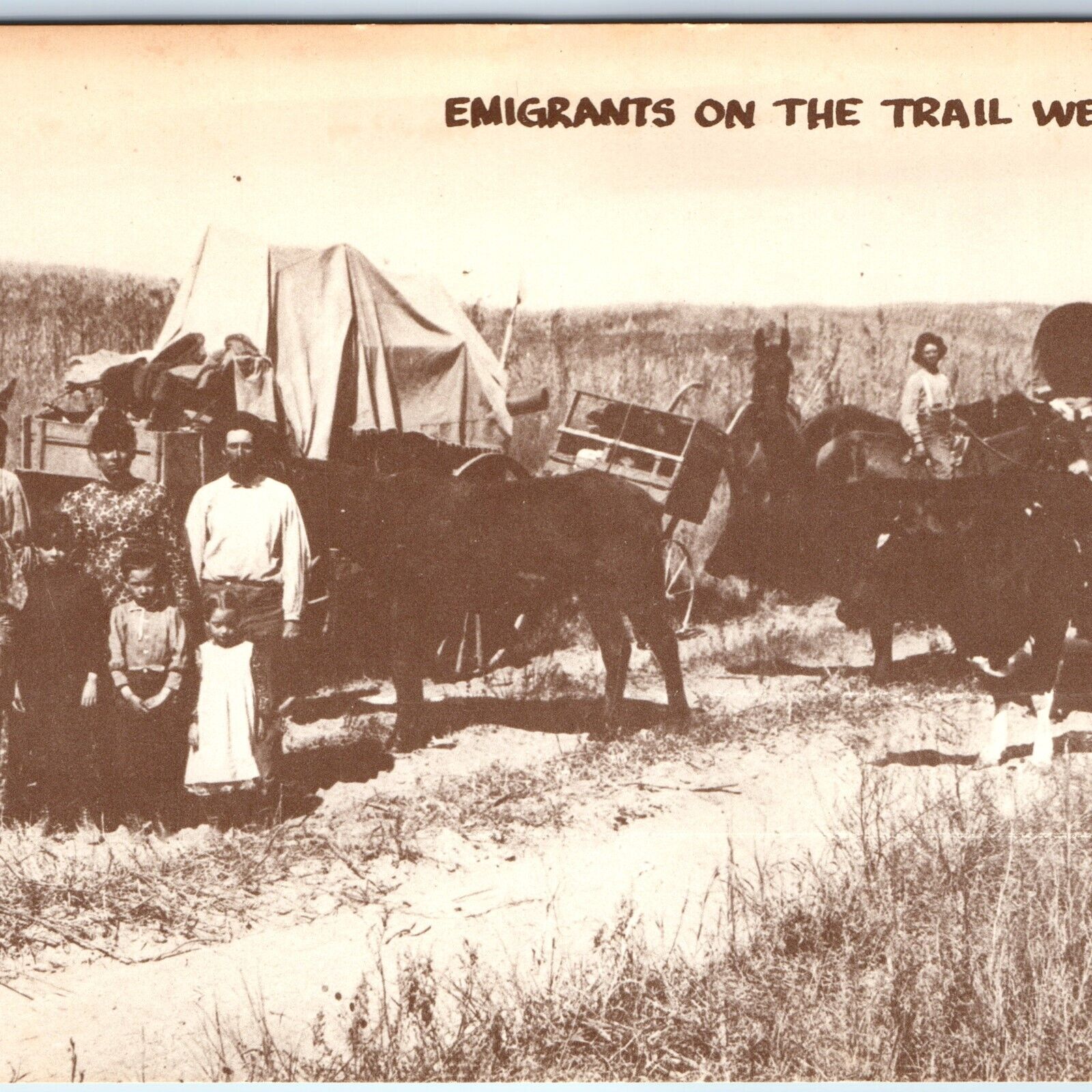 c1970s Estes Park CO 1886 Emigrant Family State Historical Photo Print Lg PC M1