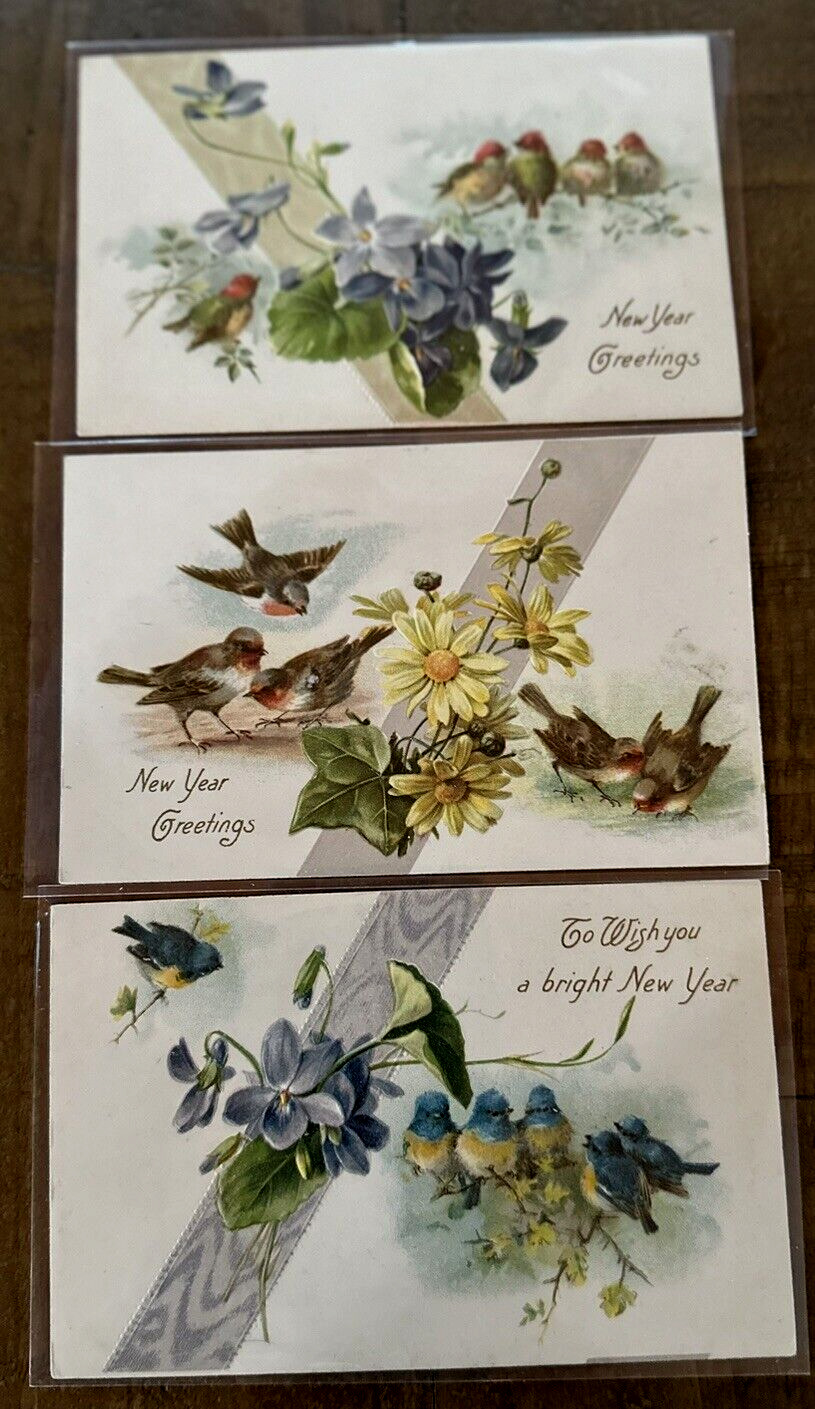 Lot of 3 ~Antique c. 1910 New Year's Postcards with Birds & Flowers~k428