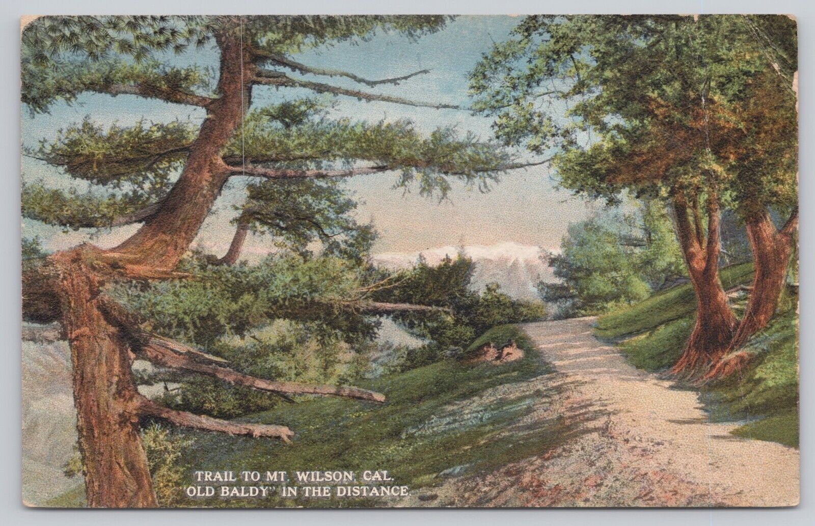 Sierra Madre California, Trail to Mt Wilson, Old Baldy, Vintage Postcard