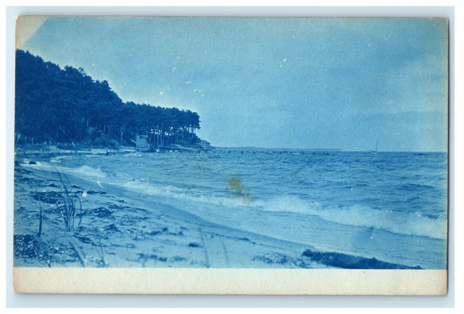c1910's Scene Beach View Cyanotype Cotuit Massachusetts MA RPPC Photo Postcard
