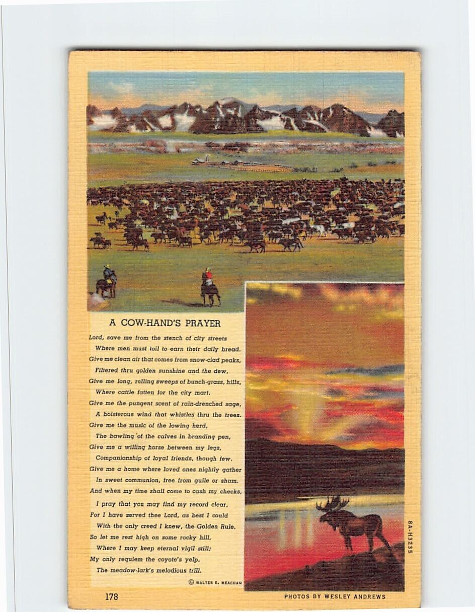 Postcard A Cow-Hand\'s Prayer