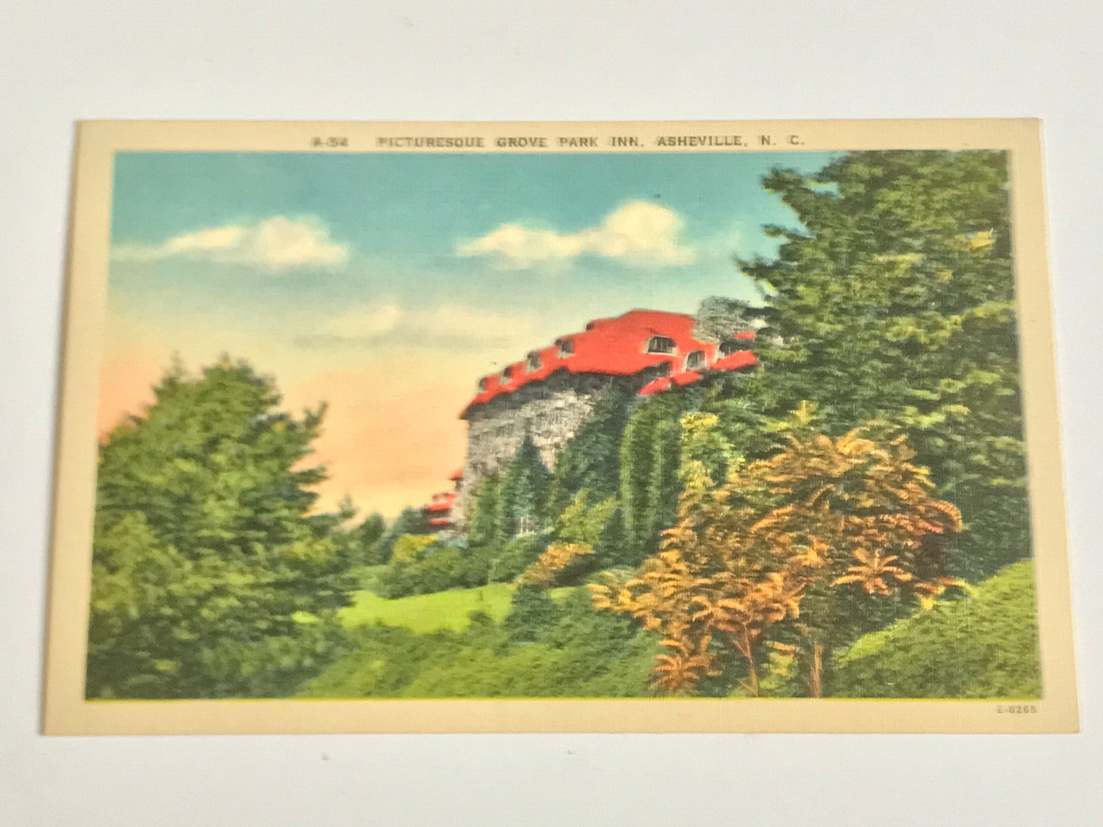 Postcard NC Asheville North Carolina Grove Park Inn Wooded Side View c1940\'s