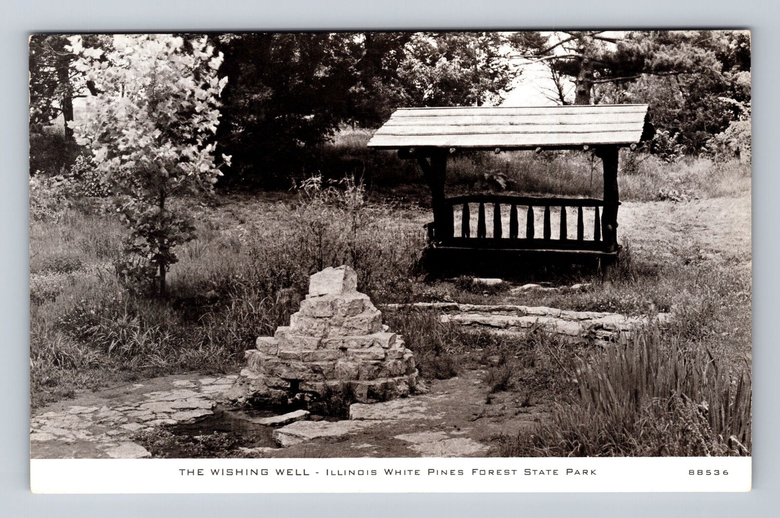 IL-Illinois, The Wishing Well, White Pines Forest State Park, Vintage Postcard