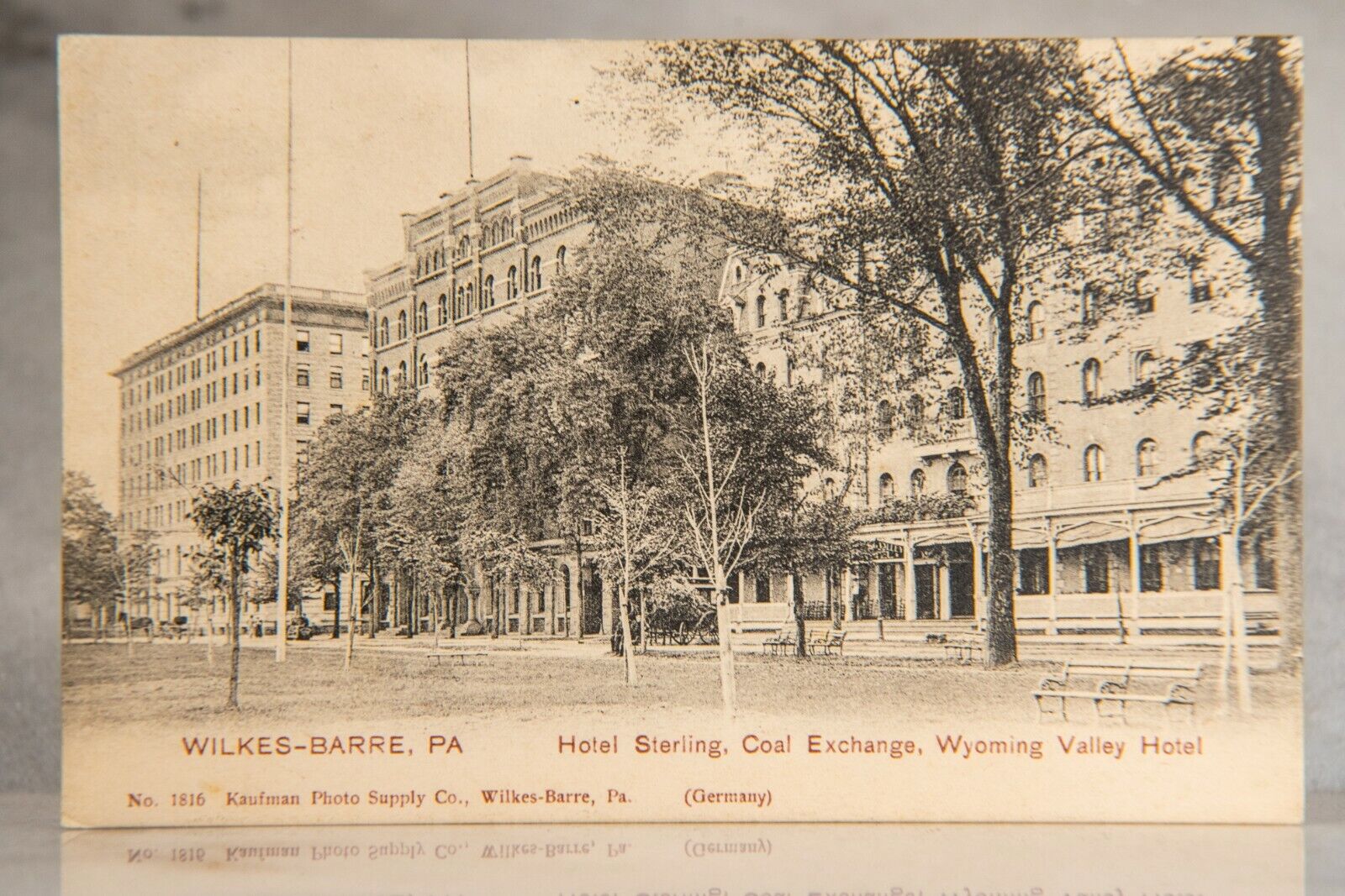 1906 Wilkes-Barre Wyoming Valley Hotel, Hotel Sterling Postcard, Kaufman Photo