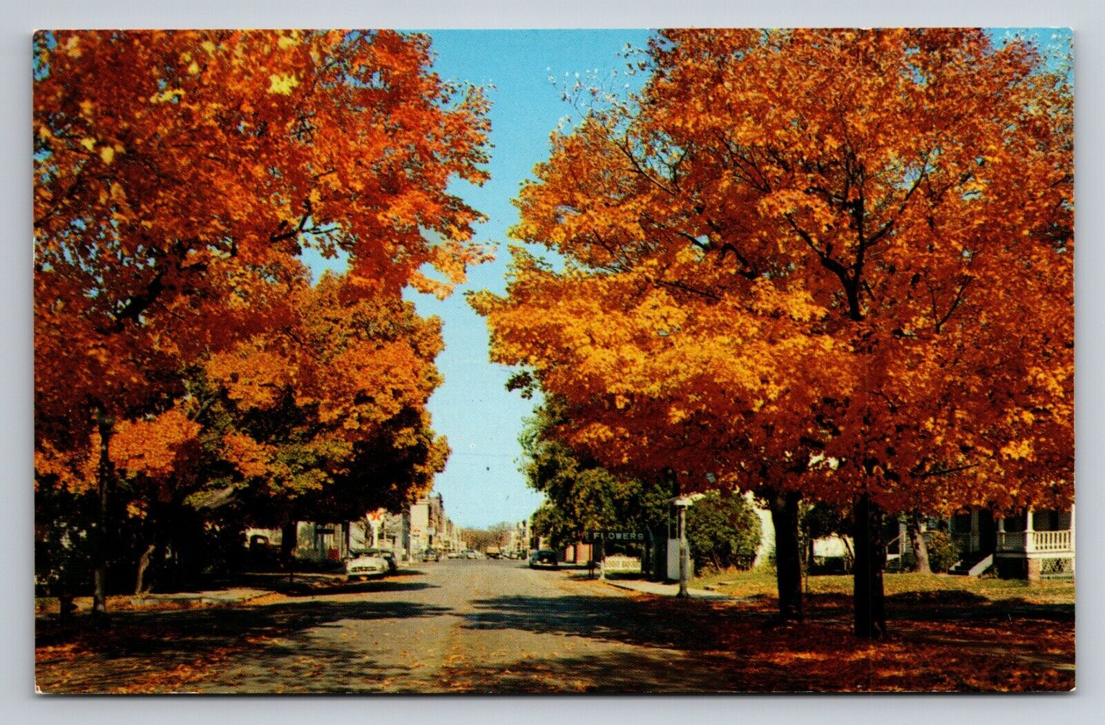 Fall Scene From Martin Park Door County Wisconsin Vintage Unposted Street View