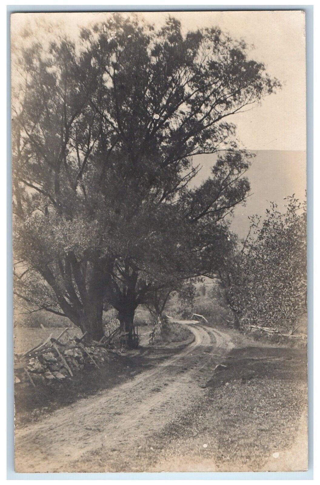c1910s Dirt Road Street And Trees Sheffield Massachusetts MA RPPC Photo Postcard