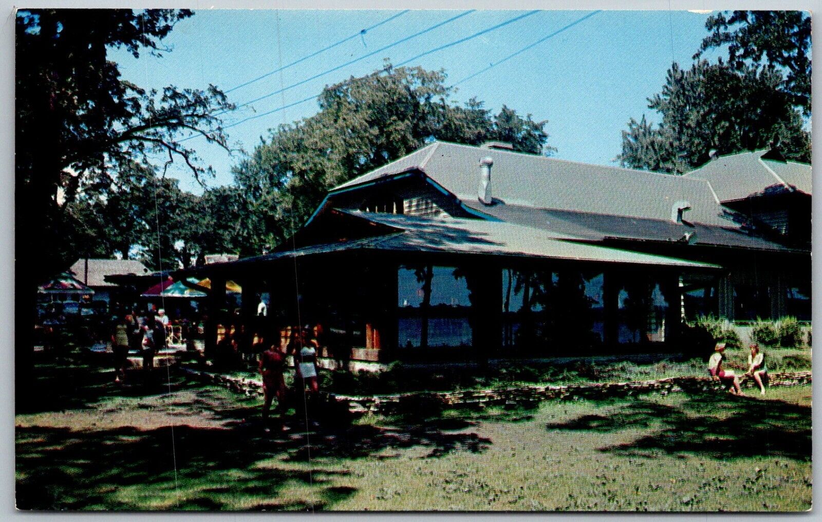 Delavan Wisconsin 1960s Postcard Lake Lawn Lodge Terrace Cocktail Lounge