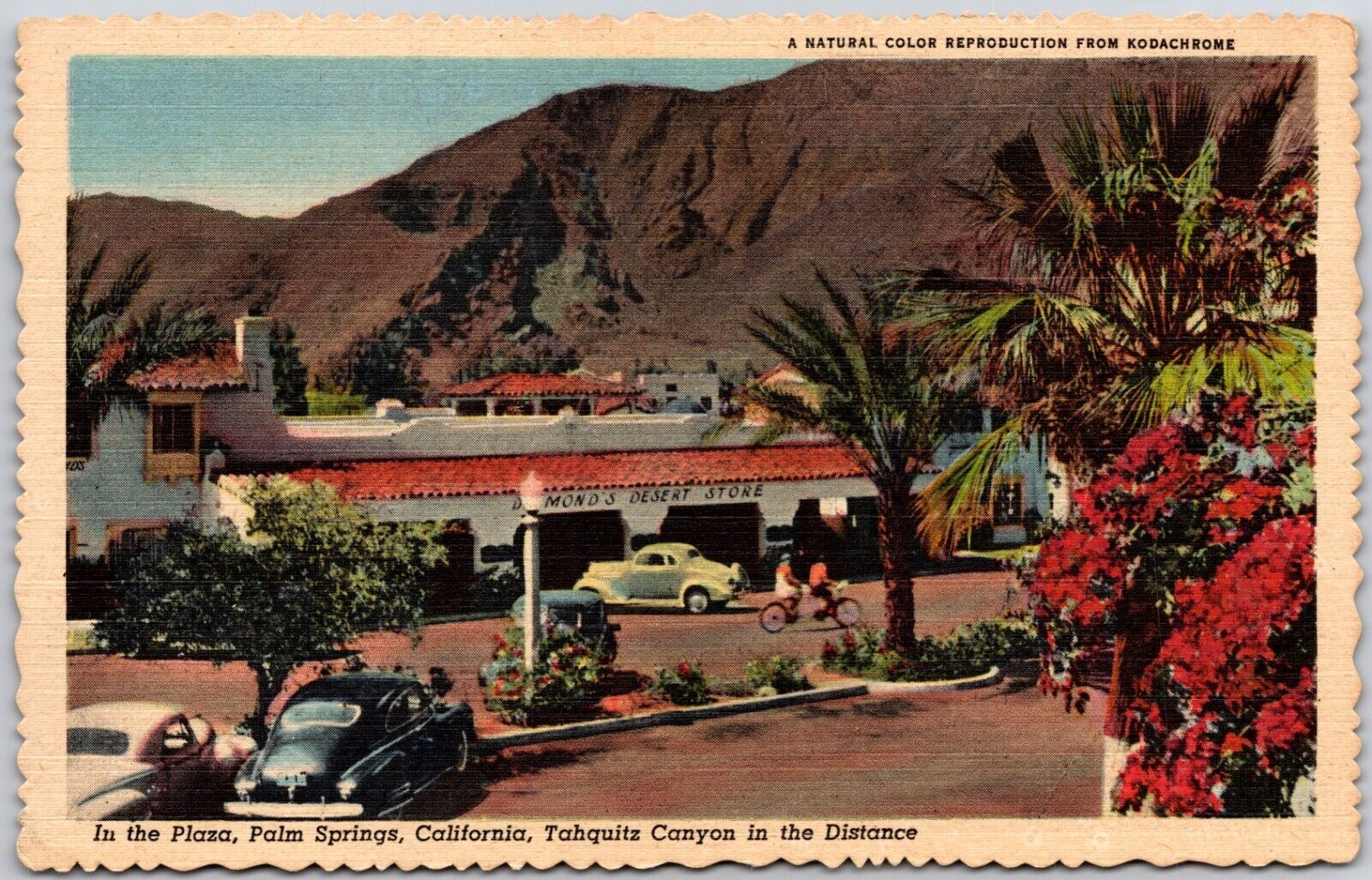  Desmond's Desert Store Palm Springs California  Postcard c1930s