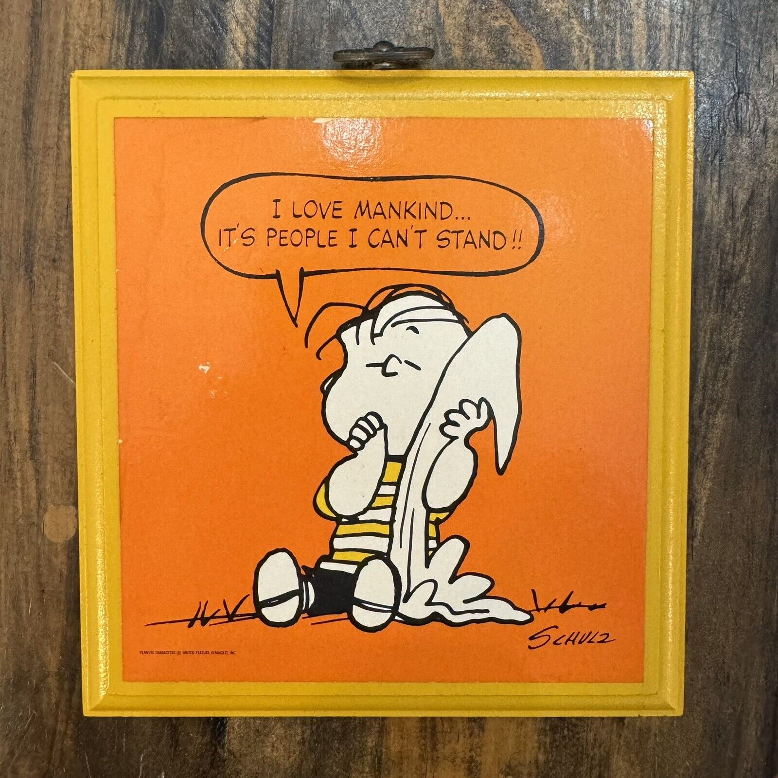 Vintage Peanuts Wall Plaque Hanging Linus Love Mankind People Cant Stand Schuz