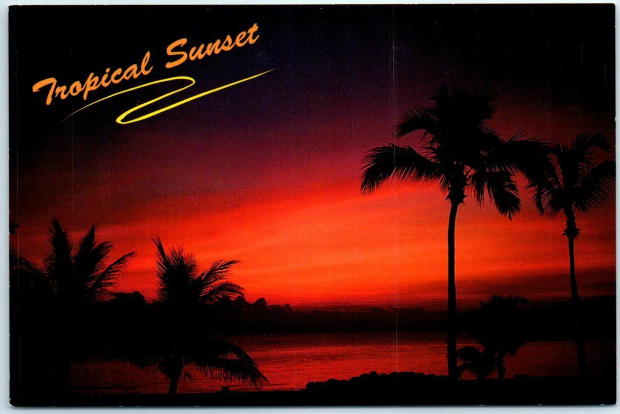 Postcard - Tropical Sunset