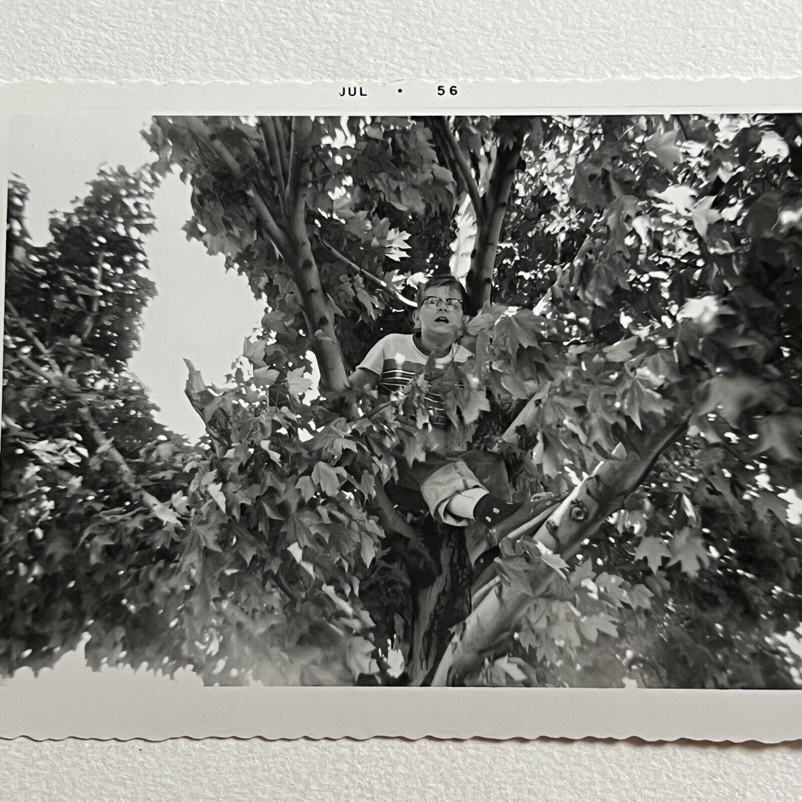 Vintage B&W Snapshot Photograph Boy In Glasses Climbing Tree 1950s Nostalgia