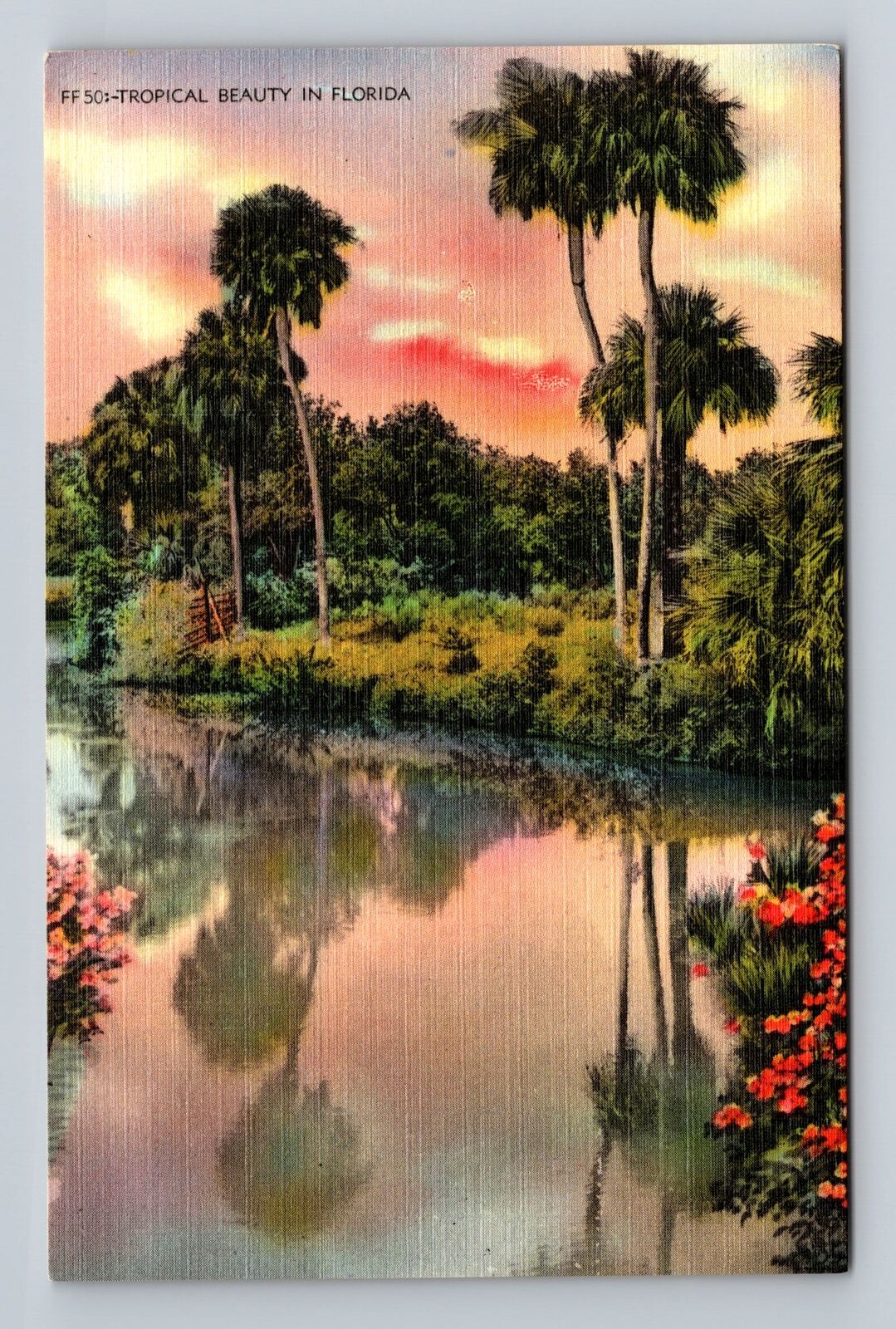 FL-Florida, Tropical Beauty, Antique, Vintage Postcard